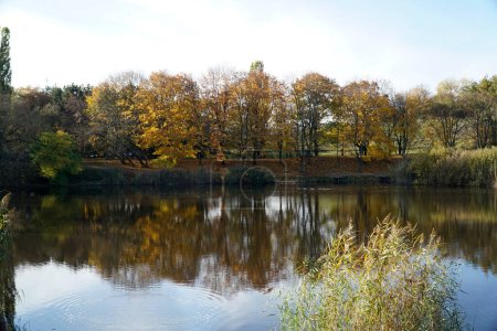 Photo for Lake in park in fall with trees reflecting in water - Royalty Free Image