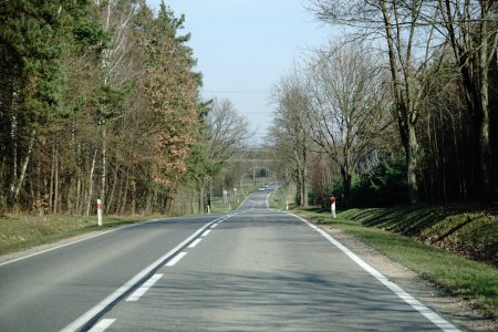 Camino de asfalto en el campo - perspectiva del conductor