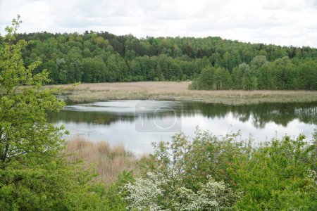 Lago en el bosque - Masuria, Polonia