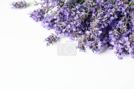 Photo for Concept of cozy with flowers, lavender flowers, space for text - Royalty Free Image