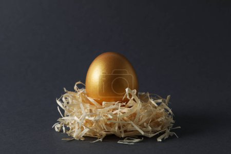 Photo for Pension rewards, returns and investment funding concepts, golden egg - Royalty Free Image