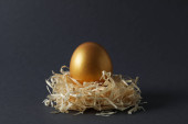 Pension rewards, returns and investment funding concepts, golden egg mug #646299586