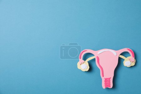 Photo for Women's health and women's healthcare concept with uterus - Royalty Free Image