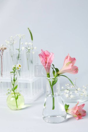 Téléchargez les photos : Concept de recherche en biologie et chimie des fleurs - en image libre de droit