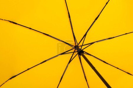 Das wichtigste Attribut bei regnerischem Wetter - Regenschirm
