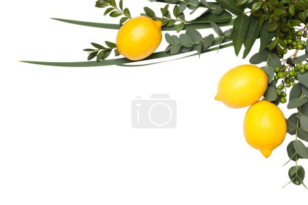 Foto de PNG, limón con hojas de árbol, aislado sobre fondo blanco. - Imagen libre de derechos
