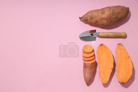 Téléchargez les photos : Patate douce, concept d'alimentation saine, légumes - en image libre de droit