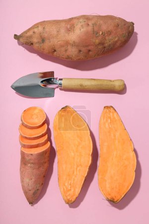 Téléchargez les photos : Patate douce, concept d'alimentation saine, légumes - en image libre de droit