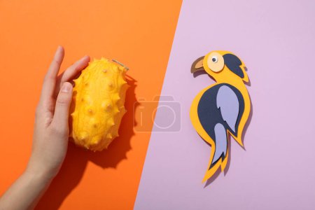 Kiwano-Frucht in der Hand und Papiervogel auf orangefarbenem und lila Hintergrund, Draufsicht