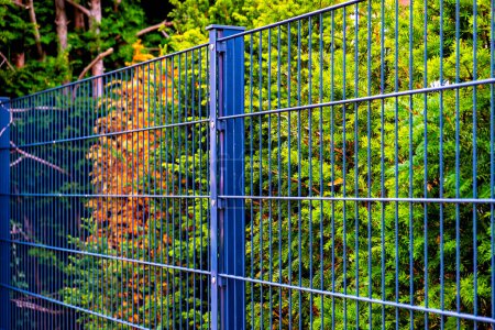 Photo for Close up of blue metal fence with bushes in the back ground in Germany. - Royalty Free Image
