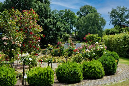 Foto de Jardín lleno de muchas flores junto al exuberante parque verde lleno de muchos árboles. - Imagen libre de derechos