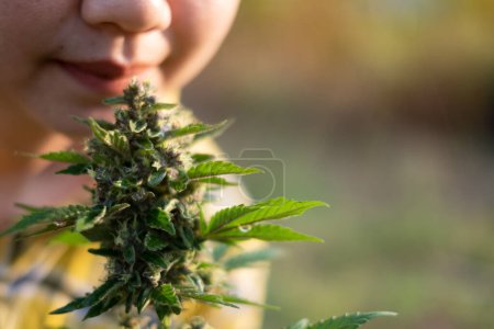 Téléchargez les photos : Asie femme sentant la marijuana fleur à la plantation de cannabis - en image libre de droit