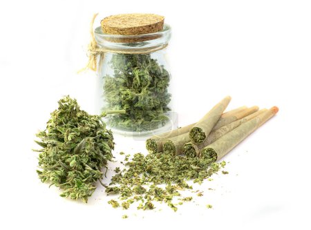 Pre-Roll cannabis joint with cannabis buds in a clear glass jar on the white background