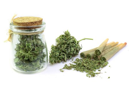 Foto de Junta de cannabis Pre-Roll con brotes de cannabis en un frasco de vidrio transparente sobre el fondo blanco - Imagen libre de derechos