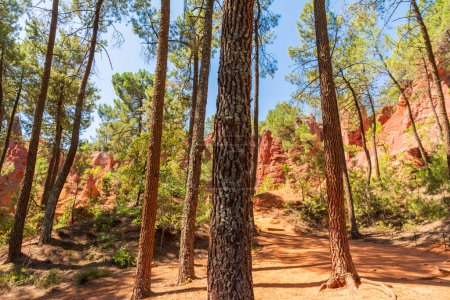 Photo for Sentier des ocres, Roussillon, Vaucluse, Provence, France - Royalty Free Image