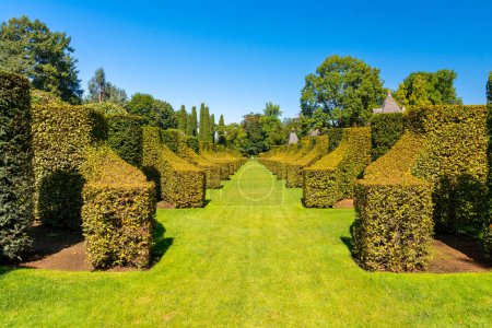 Photo for Salignac Eyvigues, France - august 09,2023 : the picturesque Eyrignac garden - Royalty Free Image