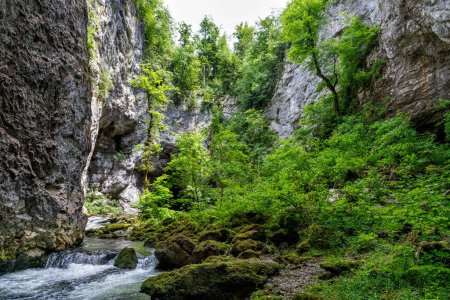 Téléchargez les photos : Vue sur le paysage dans le parc paysager de Rakov kocjan ou parc Krajinski partie du parc régional de la Carniole intérieure près de la petite ville Cerknica en Slovénie - en image libre de droit