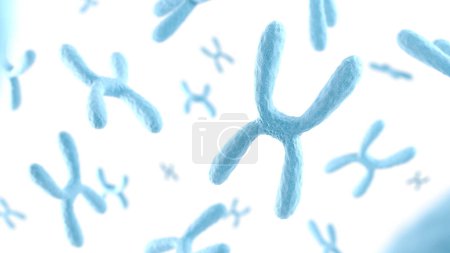 Photo for Chromosome on white background. Blue color. 3d illustration. - Royalty Free Image