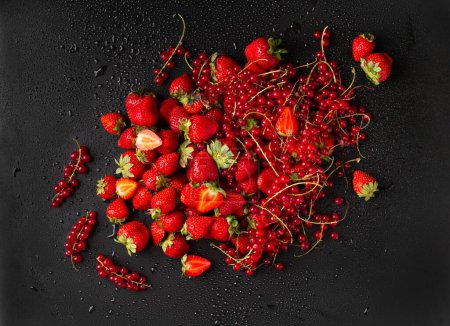 Téléchargez les photos : Strawberries and red currants on a dark background. Sprigs of red currant and strawberries with green tails on a black background with water drops top view. - en image libre de droit