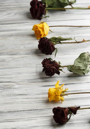 Téléchargez les photos : Dried branches of roses on light wooden background with place for text. Greeting card with dried roses on a background - en image libre de droit