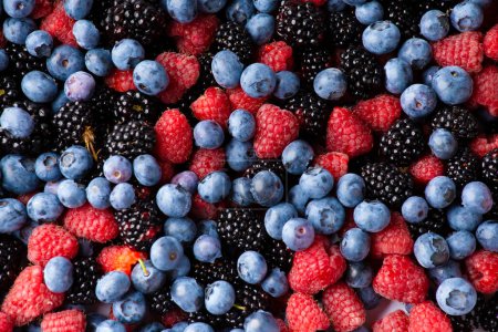 Foto de Background from healthy fruits. Blueberries, blackberries and raspberries. Flat lay. Vitamins in natural products. Berries. - Imagen libre de derechos