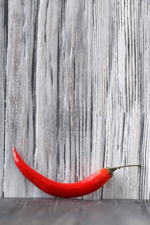 Foto de El chile picante rojo se encuentra sobre un fondo gris con espacio para el texto. Condimentos para cocinar. Espacio opy. Comida picante. - Imagen libre de derechos
