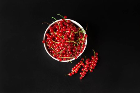 Téléchargez les photos : Red currant branches on a dark background close-up copy space. Useful dietary product. - en image libre de droit