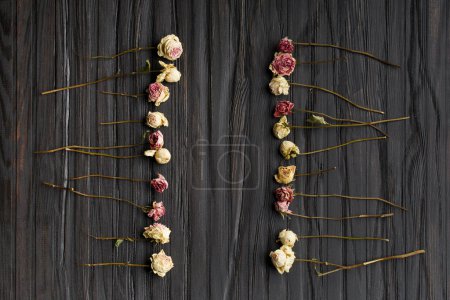 Téléchargez les photos : Dried branches of roses on a dark wooden background top view with place for text. Greeting card with dried roses on a background copy space - en image libre de droit