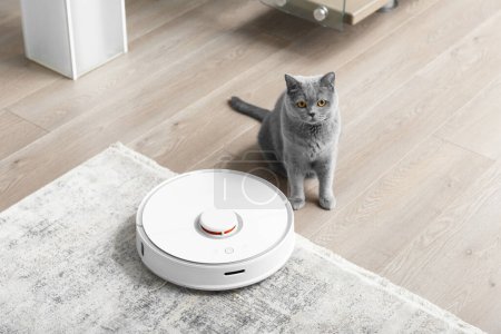Foto de Gato británico cerca del robot aspirador en la sala de estar. El concepto de fácil limpieza diaria de la casa donde viven las mascotas. - Imagen libre de derechos