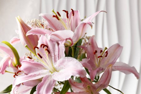 Foto de Lirios rosados florecientes y un brote sin abrir de cerca sobre un fondo blanco. Ramo de hermosas flores de lirio grandes. - Imagen libre de derechos