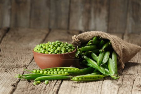 Pods of fresh green peas in a burlap bag, shelled peas in a clay bowl, sweet organic green peas in closed and open pods on an aged wooden background. vegetable protein.