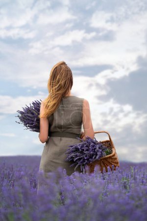 Photo for A girl in a lavender field holds a wicker basket with lavender flowers and a bouquet in her hands. - Royalty Free Image