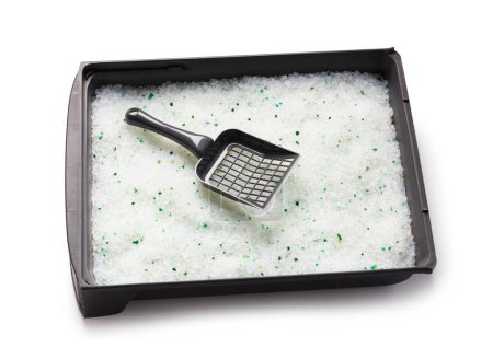 Photo for Cat litter box, gray tray filled with silica gel crystals and a cleaning shovel on a white background, top view. Pet care, pet hygiene. - Royalty Free Image
