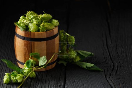 Photo for Green hops in a wooden barrel and a branch of hops on a black wooden background, copy space. Brewing traditions. Oktoberfest. Beer Festival. St.Patrick 's Day - Royalty Free Image