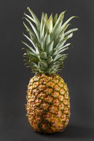Téléchargez les photos : Grand ananas juteux frais mûr entier sur fond noir, fruits exotiques tropicaux - en image libre de droit