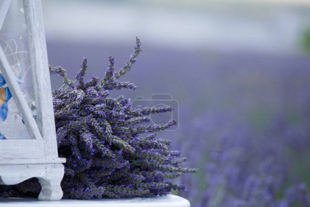 Photo for A large bouquet of lavender flowers on a white table against the backdrop of a lavender field - Royalty Free Image