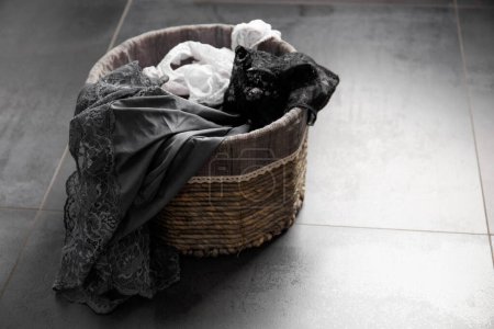 Téléchargez les photos : Composition conceptuelle, sous-vêtements pour femmes dans un panier en osier pour linge sale sur fond noir. Un panier à linge rempli contre un sol sombre. - en image libre de droit