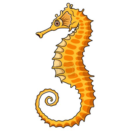 Cartoon seahorse isolated on white background