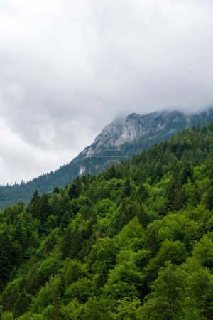 Foto de Senderismo en las montañas del Tirol, Austria - Imagen libre de derechos