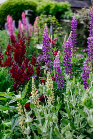 Foto de Hermosos jardines británicos. Elementos de jardín en Reino Unido - Imagen libre de derechos