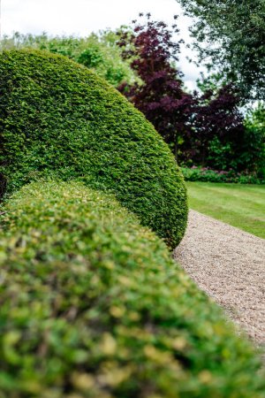 Téléchargez les photos : Beaux jardins britanniques. Éléments de jardin au Royaume-Uni - en image libre de droit
