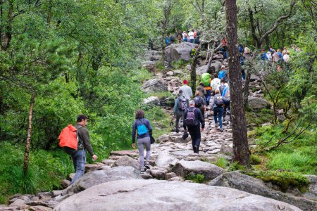 Téléchargez les photos : Songesand, Norvège - 21 juillet 2023 : Les gens grimpent pour atteindre Preikestolen Pulpit Rock - en image libre de droit