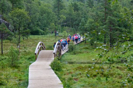 Téléchargez les photos : Songesand, Norvège - 21 juillet 2023 : Les gens marchent pour atteindre Preikestolen Pulpit Rock - en image libre de droit