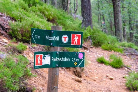 Téléchargez les photos : Songesand, Norvège - 21 juillet 2023 : Panneau indiquant le chemin vers la falaise Preikestolen - en image libre de droit