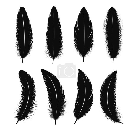 Téléchargez les illustrations : Ensemble de plumes d'oiseaux noirs de différentes formes. - en licence libre de droit