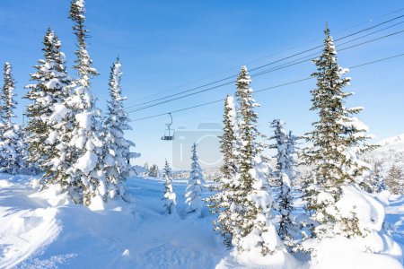 One chair of an empty chair lift in a ski resort at sunny day. Winter holidays, snow-covered coniferous trees. High quality photo