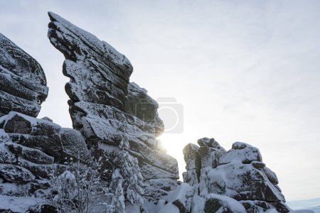 syenite granite rocks in hoarfrost, similar to a birds wing, winter landscape . High quality photo