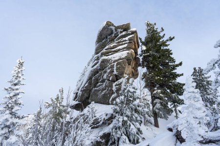 Syenite granite rock surrounded by trees in winter forest. High quality photo