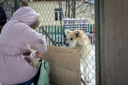 A girl in a pink jacket breaks off a piece of bread to feed a dog sitting behind a fence, showing love for animals. High quality photo