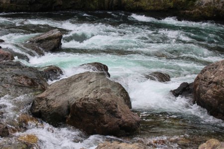 Courant rapide Débit d'eau à une petite rivière de montagne peu profonde le jour d'été. Les pierres sortent de l'eau claire. Ferme là. Photo de haute qualité
